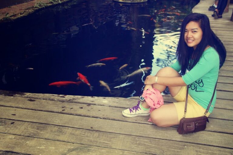 Dahilayan’s Plaza and More